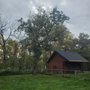 Girgen Tree