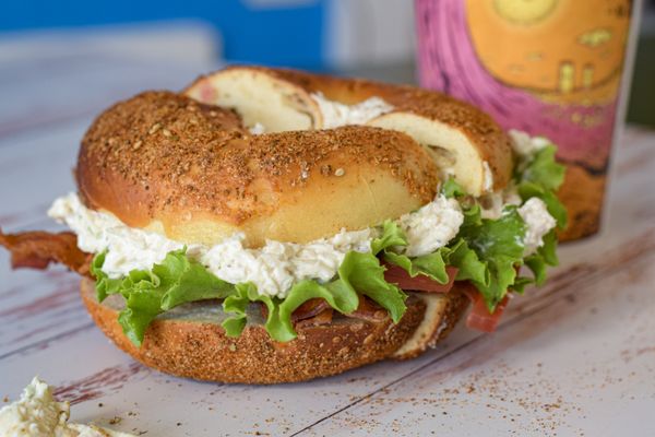 Surf Bagel Lewes by null