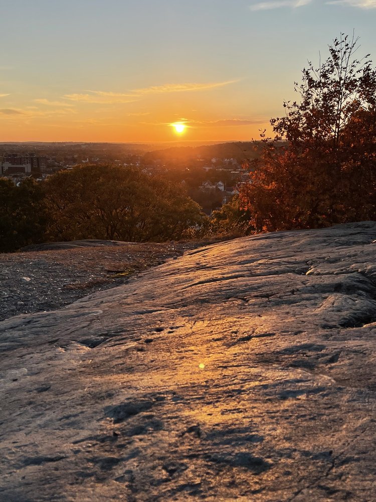 WAITT’S MOUNT Updated October 2024 41 Photos 79 Leonard St