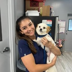 24/7 Animal Hospital of Orlando