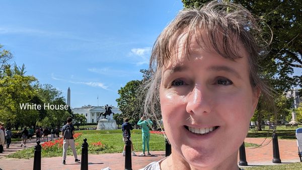 USA Guided Tours by null