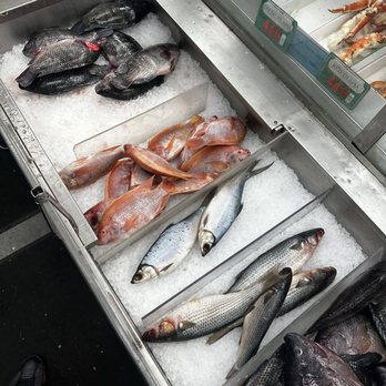 Dat Moi Market - More whole fish - International Grocery Near Me - Gardena, California