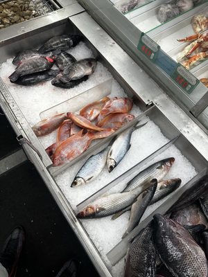 Dat Moi Market by null