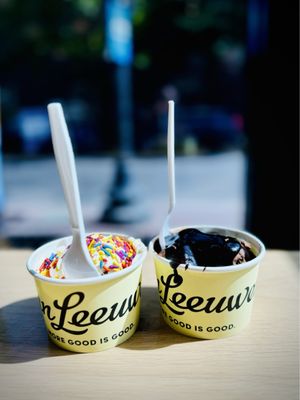 Van Leeuwen Ice Cream by null