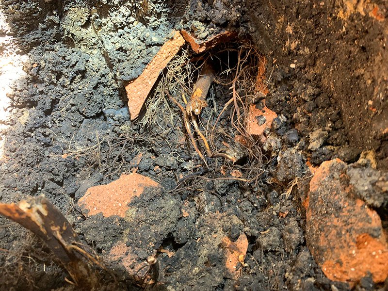 Slide of BMW Plumbing & Sewer