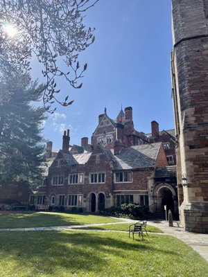 Yale Law School by null