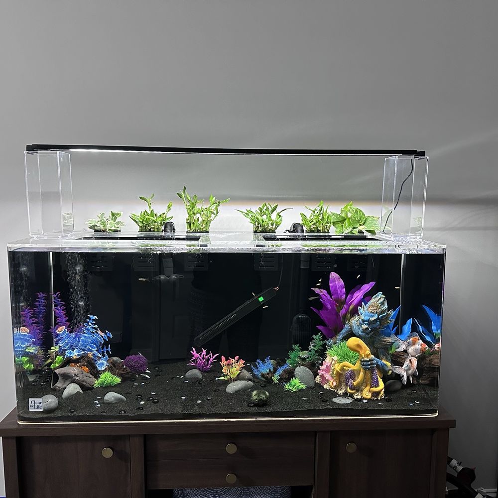 FISH TANKS DIRECT - Updated February 2026 - 37 Photos & 39 Reviews