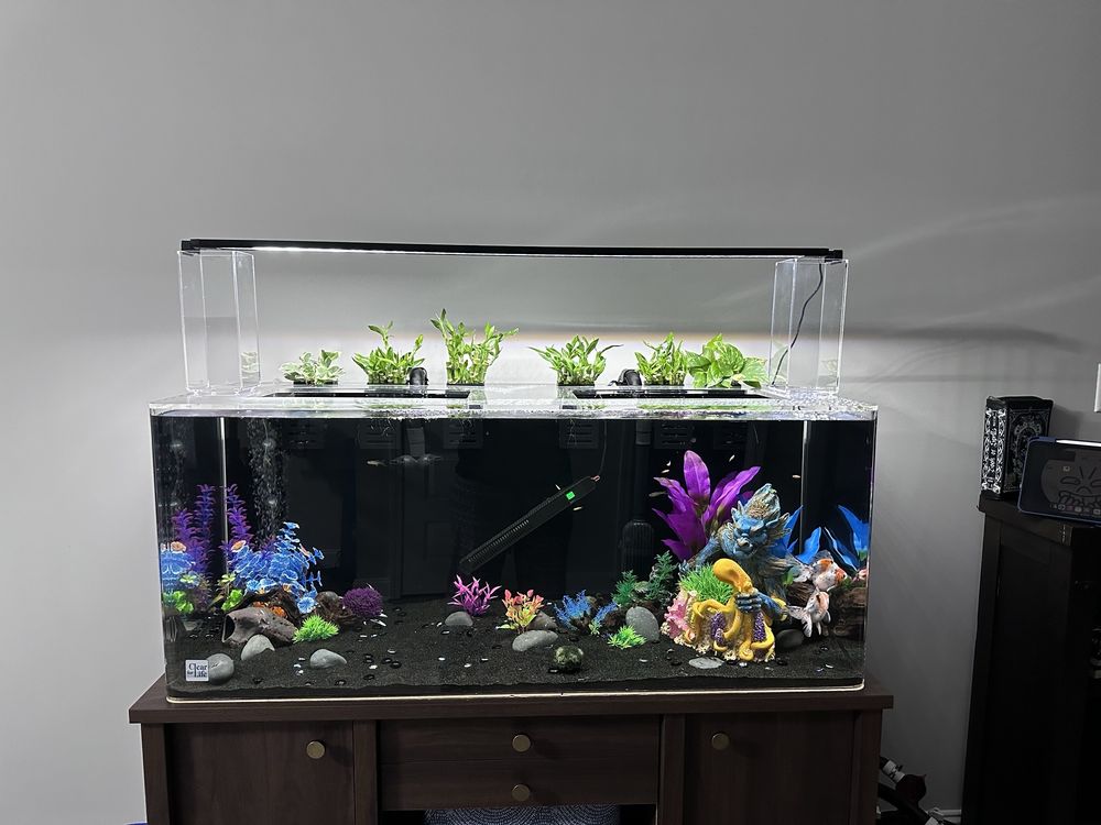 FISH TANKS DIRECT Updated October 2024 36 Photos & 29 Reviews 121
