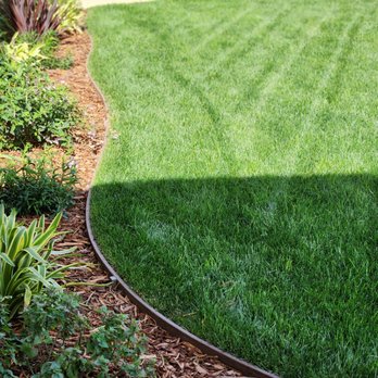 Sierra Landscape Designs - "island" of Marathon sod - Landscaping Near Me Sierra Landscape Designs - "island" of Marathon sod - Landscaping Near Me
