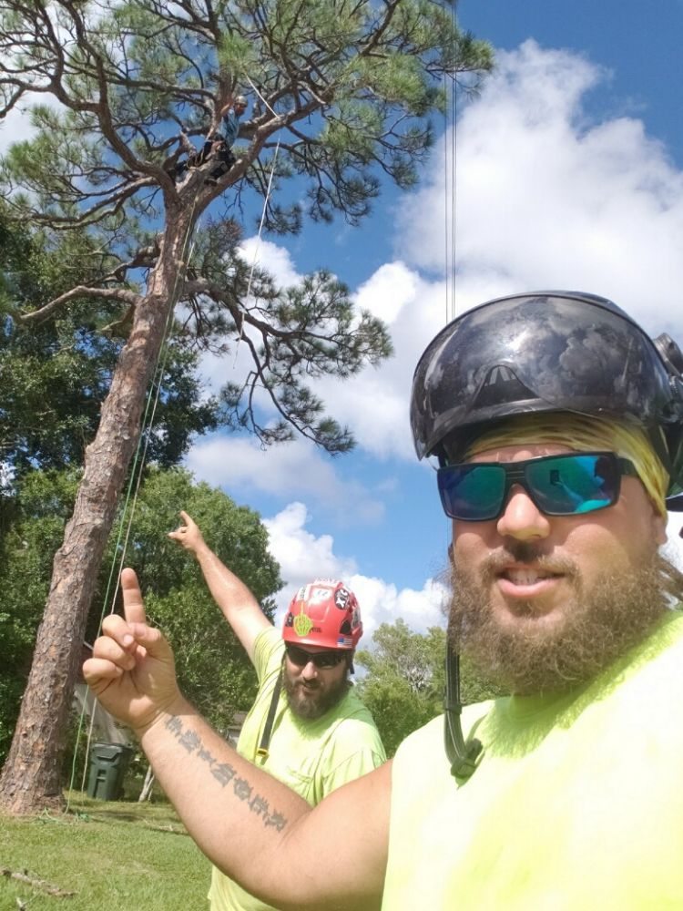 REDWINE’S TREE SERVICE Tree Services at 535 Key Largo Dr S