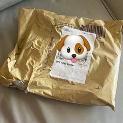 Bloomingdale's Roosevelt Field - Disappointing this is how it was delivered, no box, $520 scarf!