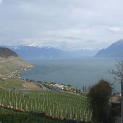 Wannaz Weingut