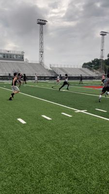 Hidden Iron Training