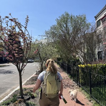 Sniff N Stroll DMV - Pet Sitting Near Me - Brentwood, Maryland Sniff N Stroll DMV - Pet Sitting Near Me - Brentwood, Maryland