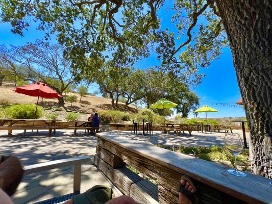 Zaca Mesa Winery by null