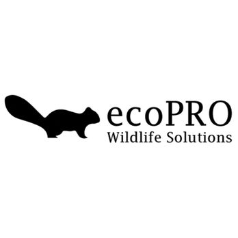 ecoPRO Wildlife Solutions - Gutter Services Near Me - Lenexa, Kansas ecoPRO Wildlife Solutions - Gutter Services Near Me - Lenexa, Kansas