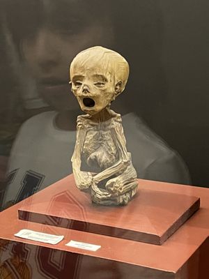 Museum of the Mummies of Guanajuato by null