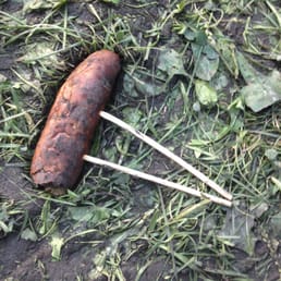 Ground wiener