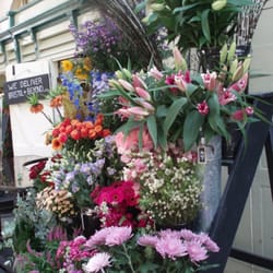 Lucy Anna Flowers