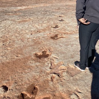 Dinosaur Tracks - Tracks - Landmarks & Historical Buildings Near Me - Tuba City, Arizona