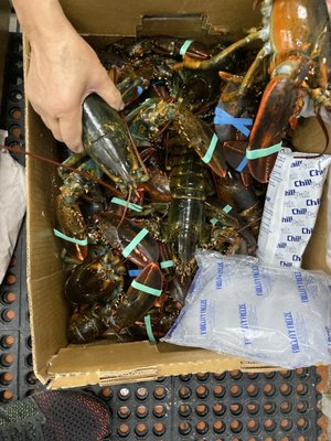 Irving Seafood Market by null