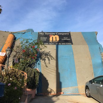 My Termite Company - Pest Control Near Me - Los Angeles, California