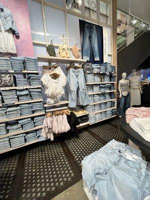 American Eagle by null