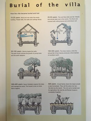 Brading Roman Villa by null