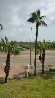 Beach Club by null
