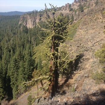 The Long Barn Lodge - Trail of the Gargoyles. Amazing views!! - Hotels Near Me - Long Barn, California