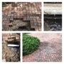 Photo of Simplicity Irrigation Solutions
