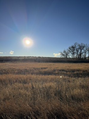 Cherry Creek State Park by null