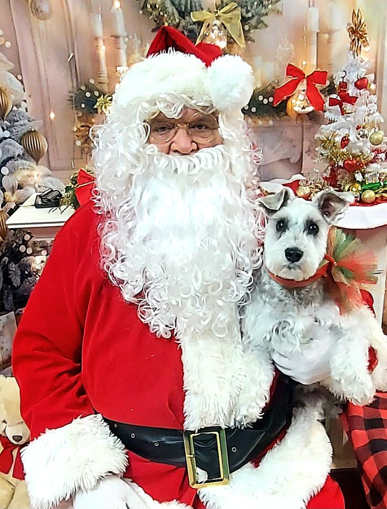 Hounds Tooth & Cats Meow - pet boarding facility in Jeffersontown, KY