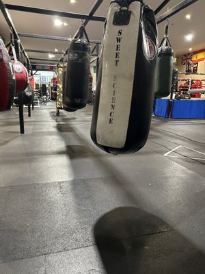 Sweet Science Boxing & MMA by null