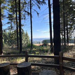 Chehalem Ridge Nature Park - Witches Butter Trail