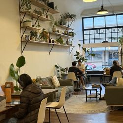 Margin Coffee - Margin Coffee in Albany