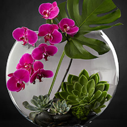 Fancy Flowers - Modern Design