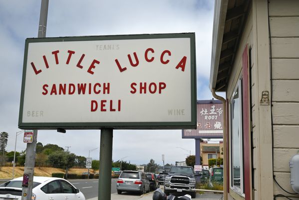 Little Lucca by null
