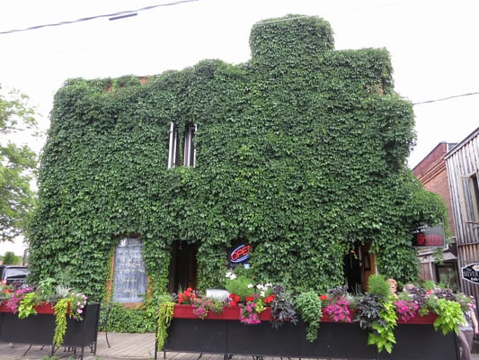 The Griffin Pub by null