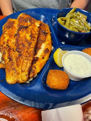 Cherry Creek Catfish by null
