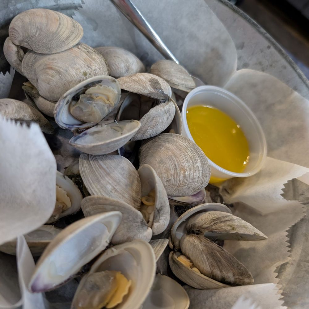 Clermont Oyster Bar - 1/2 lb Little Neck Fresh Clams - Seafood Near Me - Clermont, Florida