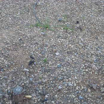 Planned Development Services - more dog poop front yard - Property Management Near Me - Glendale, Arizona Planned Development Services - more dog poop front yard - Property Management Near Me - Glendale, Arizona