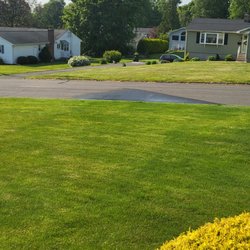 Tradewind Irrigation - Sprinkler head spraying the street