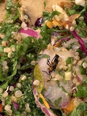 sweetgreen - Healthy Salads, Bowls and Plates by null