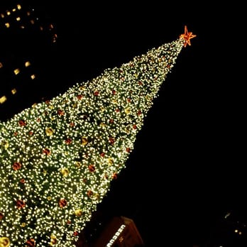 Macy's Christmas Tree - Local Flavor Near Me - San Francisco, California Macy's Christmas Tree - Local Flavor Near Me - San Francisco, California