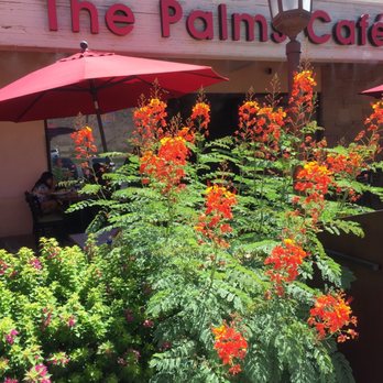 The Palms Cafe - Breakfast & Brunch Near Me - Rancho Mirage, California The Palms Cafe - Breakfast & Brunch Near Me - Rancho Mirage, California