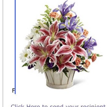 Corona Florist - This is what they were supposed to be. So very disappointing. - Florists Near Me - Corona, California Corona Florist - This is what they were supposed to be. So very disappointing. - Florists Near Me - Corona, California