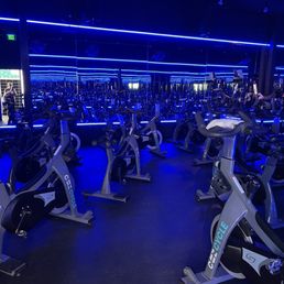 CAZ cycle studio