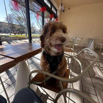 Wow Tea Drink - Bubble Tea Near Me - Cupertino, California Wow Tea Drink - Bubble Tea Near Me - Cupertino, California