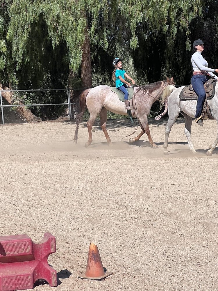 Mettrick Quarter Horses Logo